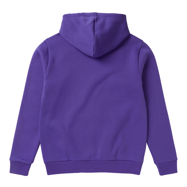 35104-230131-icon-hood-sweat-purple-2